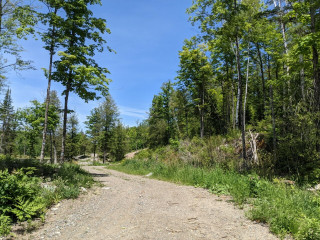 PXL_20210612_173858442.MP (Large).jpg