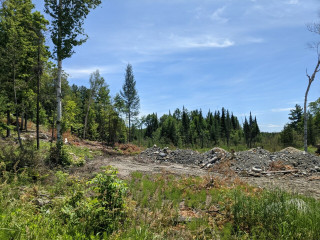 PXL_20210612_173902983 (Large).jpg