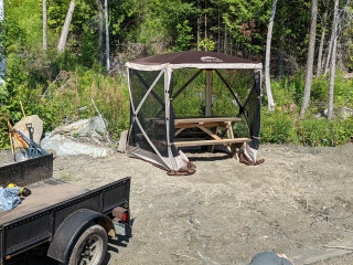 PXL_20210802_202548377.MP (Large).jpg