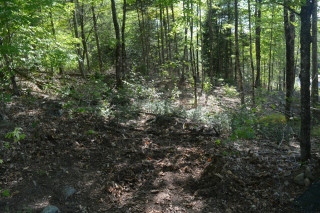 DSC_0073 (Large).JPG