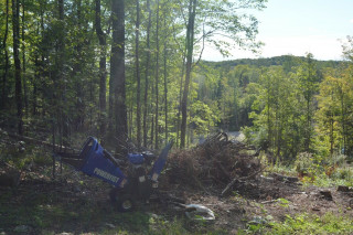 DSC_0075 (Large).JPG