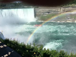 Horseshoe falls