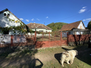 The main house is in the middle. The little building on the left is a summer kitchen. The one on the right was a car shelter and cow shelter.