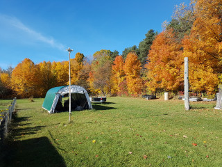 view from centre of back yard