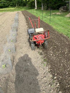 Troybilt in action.