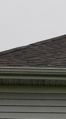 Shingles.jpg