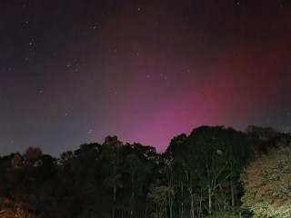 2024-10-10 21.54.03.jpg