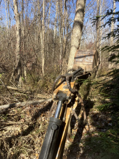 Tree starting to fall.