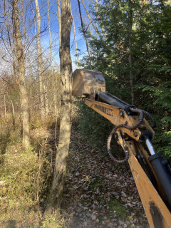 Bucket against tree.