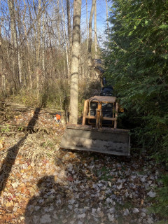 GT backed into area.