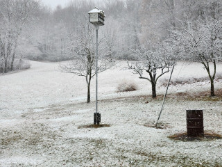 2024-11-22 08.31.23.jpg