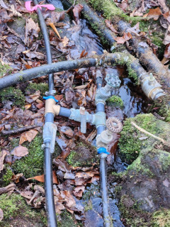 2024-12-13 13.41.45.jpg