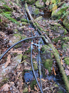 2024-12-13 13.41.40.jpg