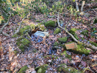 2024-12-13 13.14.05.jpg