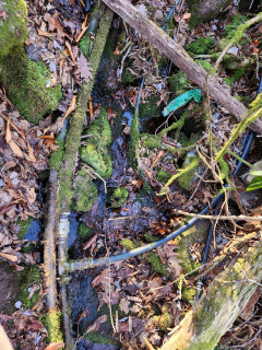 2024-12-13 10.19.37.jpg