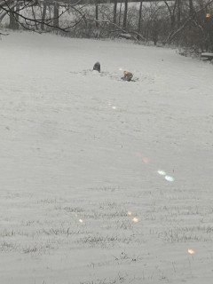 Son and his buddy are out having fun.