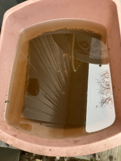 Not sticky or stinky