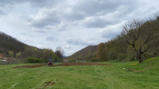 The neighbour doing our "garden".