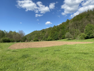Plowed and tilled by the neighbour.