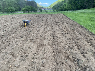Planted some potatoes today. About 2 weeks later than the locals.