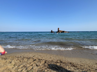 IMG_6265.jpeg