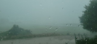 20260902_174203.jpg