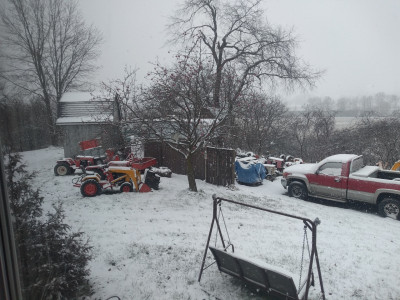 hide behind fence.jpg