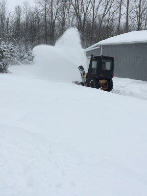 The blizzard effect!