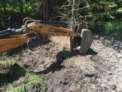 Digging out some evergreen stumps.