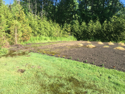 Flooded lower garden area