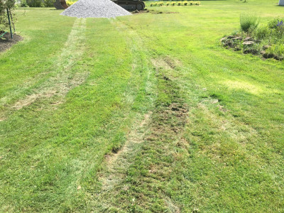 Tamden dump rutted up the lawn a bit