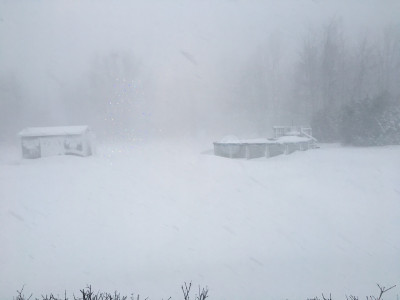 Pic out back sliding door