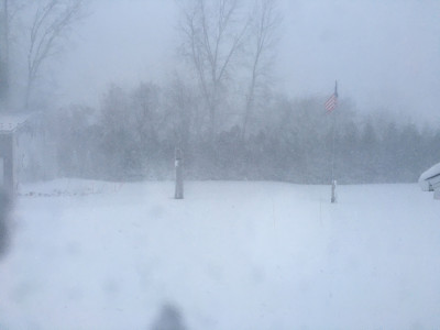 Pic out kitchen door