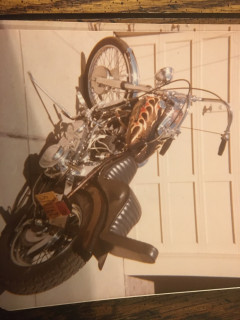 1956 Harley panhead