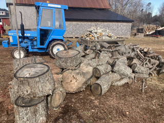 Son and grandson filled the trailer yesterday. I unloaded it this morning.