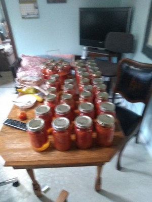 36 quarts blanched.jpg