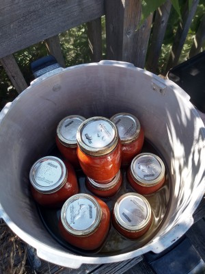 last batch of salsa.jpg