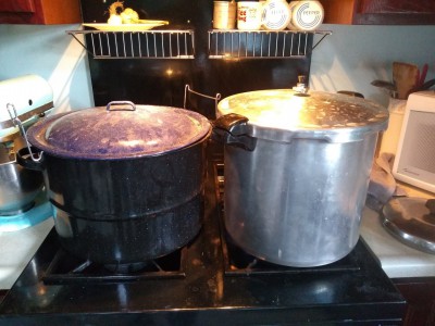 water bath vs pressure canning.jpg