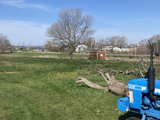 This is where I’ve been cutting up hurricane Fiona wood. You can sorta see the ships trough the trees.