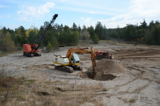 DSC_2340 (Large).JPG