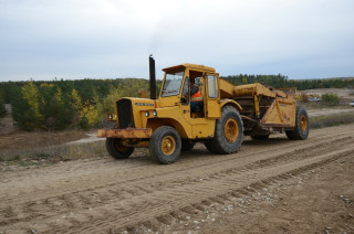 DSC_2352 (Large).JPG