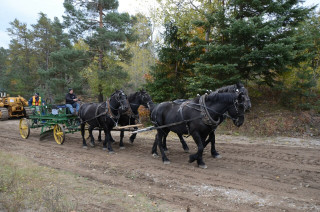 DSC_2358 (Large).JPG