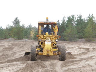 PA150106 (Large).JPG