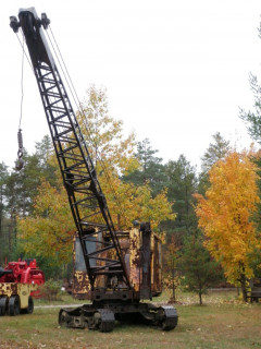 PA150121 (Large).JPG