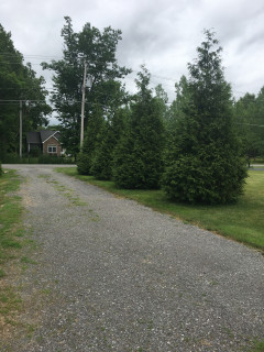 Side of driveway